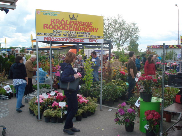 wiosna w ogrodzie 2015_113