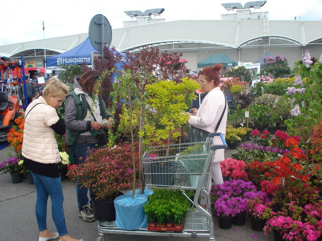 wiosna w ogrodzie 2015_127