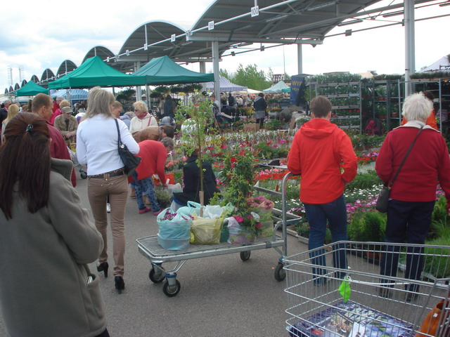 wiosna w ogrodzie 2015_133