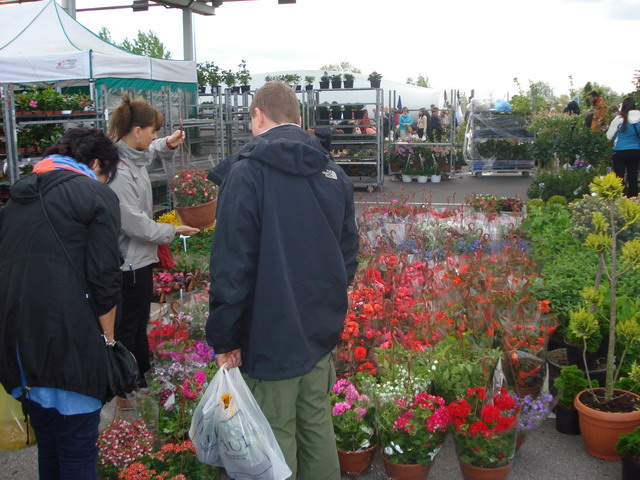 wiosna w ogrodzie 2015_155