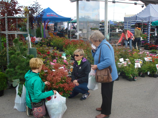 wiosna w ogrodzie 2015_157