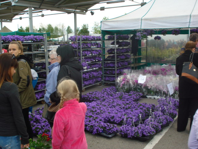 wiosna w ogrodzie 2015_158