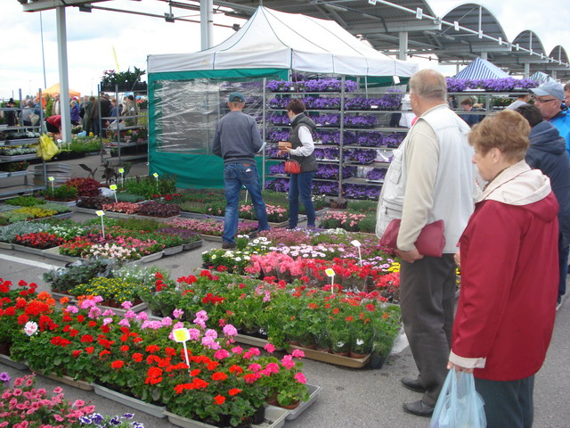 wiosna w ogrodzie 2015_161