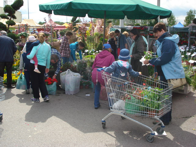 wiosna w ogrodzie 2015_169