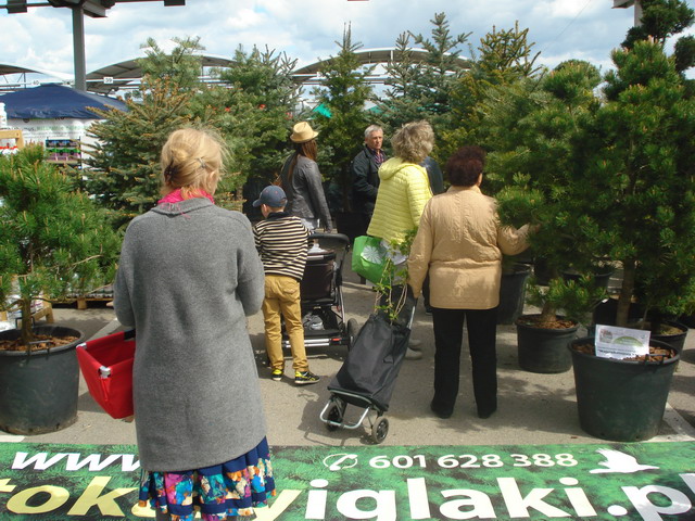 wiosna w ogrodzie 2015_174