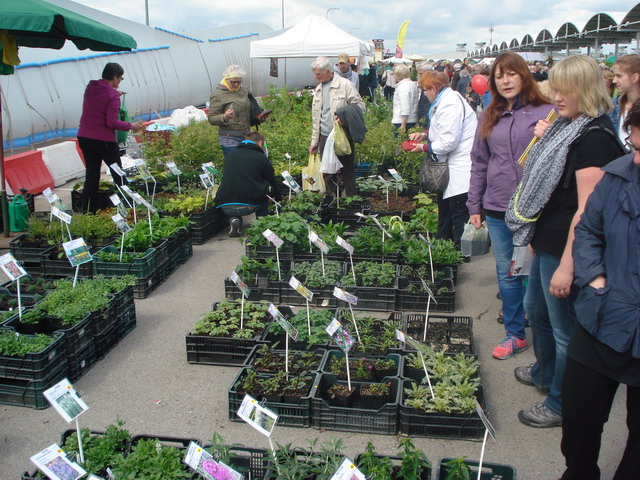 wiosna w ogrodzie 2015_175