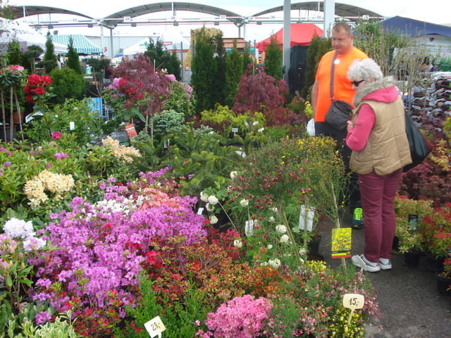 wiosna w ogrodzie 2015_178