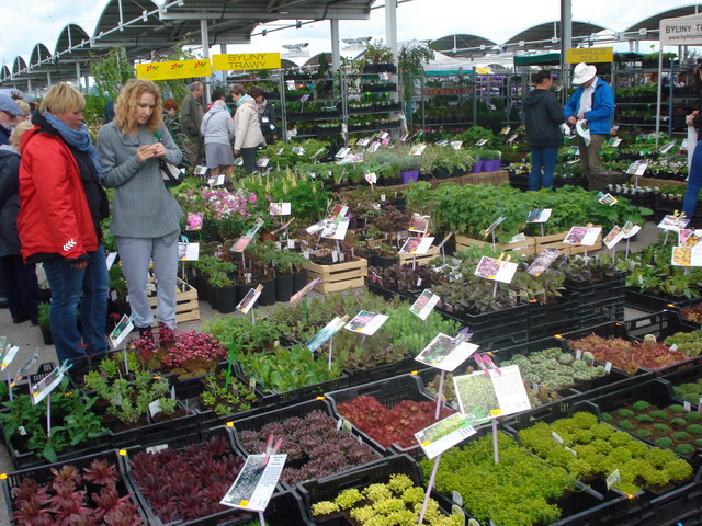 wiosna w ogrodzie 2015_180