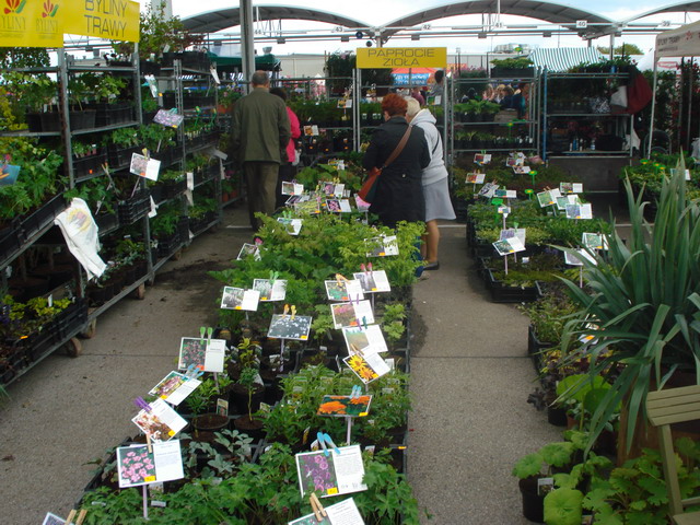 wiosna w ogrodzie 2015_181