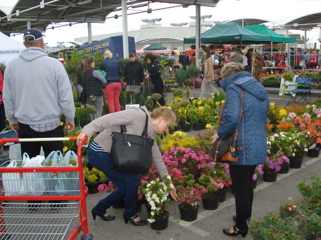 wiosna w ogrodzie 2015_193