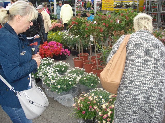 wiosna w ogrodzie 2015_195