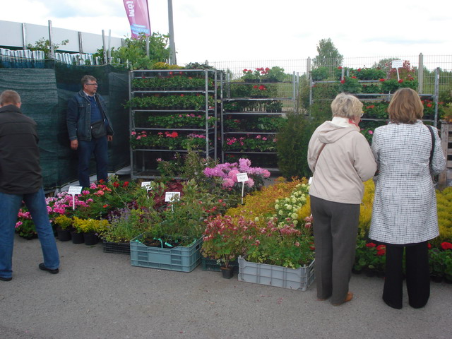 wiosna w ogrodzie 2015_200