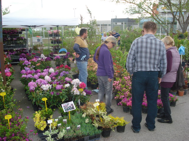 wiosna w ogrodzie 2015_204