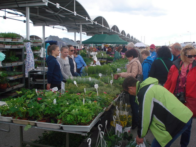 wiosna w ogrodzie 2015_205