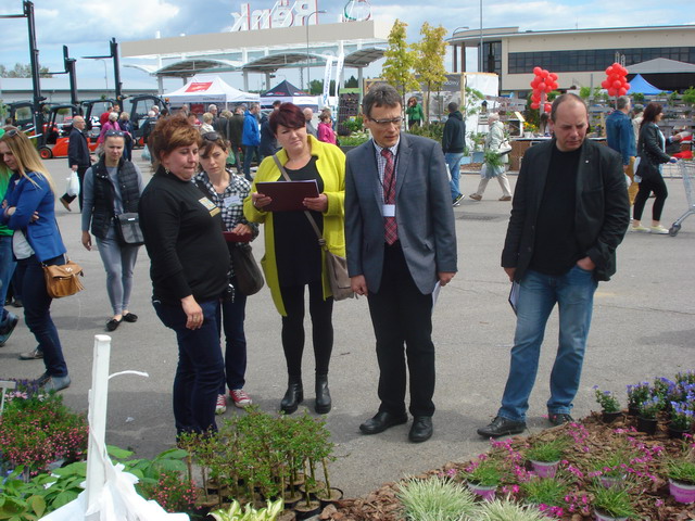 wiosna w ogrodzie 2015_210