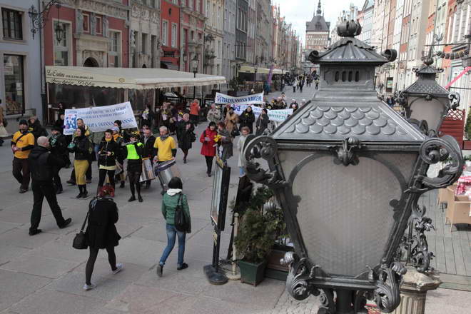 Marsz zoltego zonkila_14