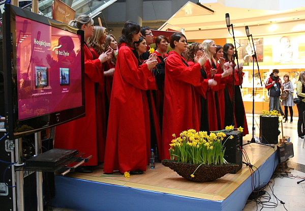 Pola Nadziei w Galerii Baltyckiej_06