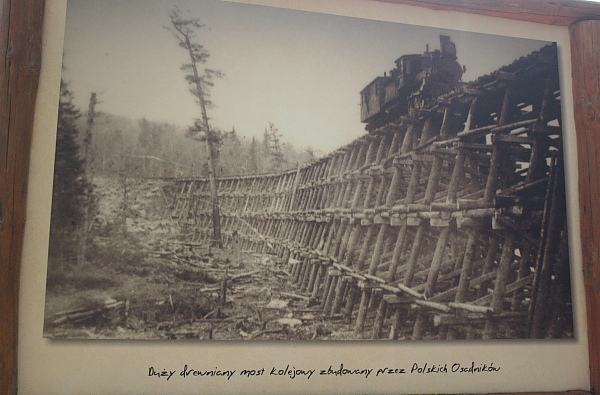 Majowka przedsiebiorcow_21