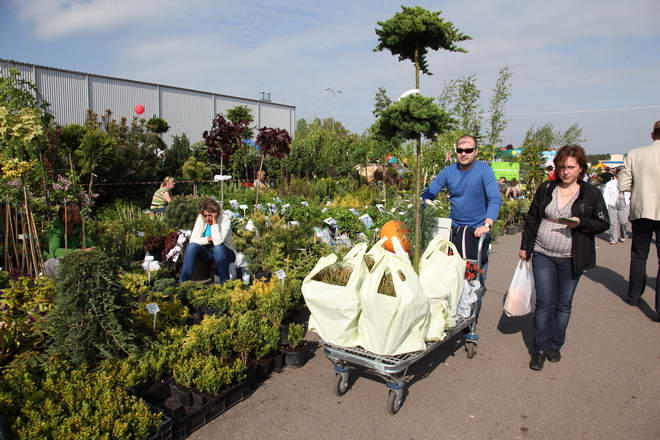 Grajmy w zielone 2011_01