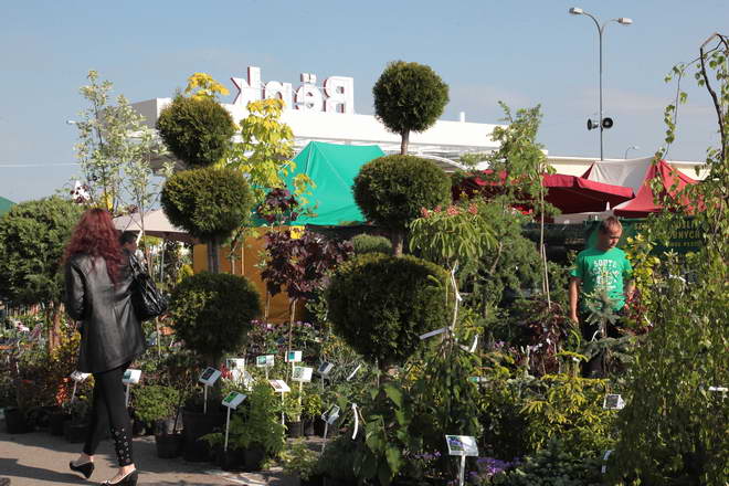 Grajmy w zielone 2011_11