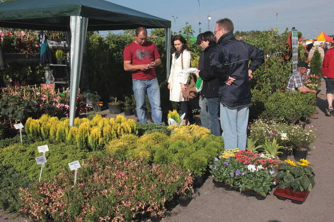 Grajmy w zielone 2011_14