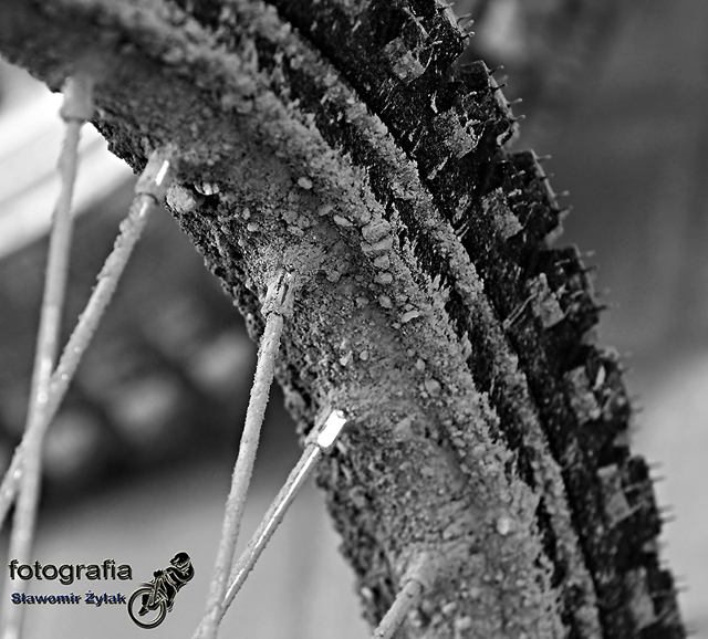 Spaing Wybrzeze - Stal_49