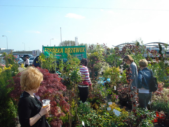 Grajmy w zielone 2012_08