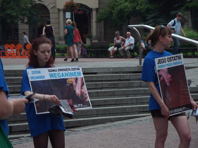 Manifestacja Animal Equality_19