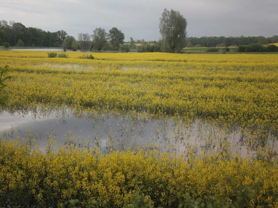 Sytuacja w Bałdowie i Tczewie rano 25-05-2010