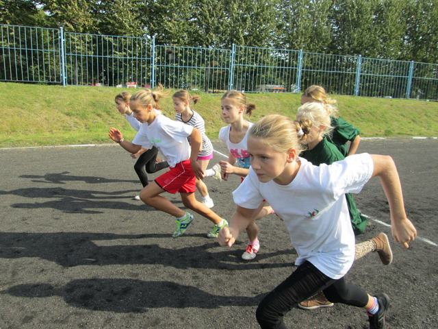 la szkol podstawowych_15