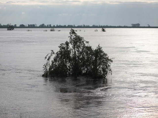 Sytuacja w Bałdowie i Tczewie rano 25-05-2010