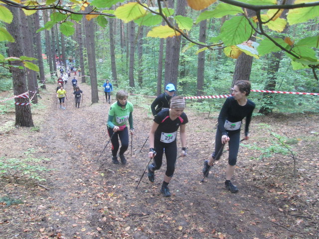 nordic walking awfis_45