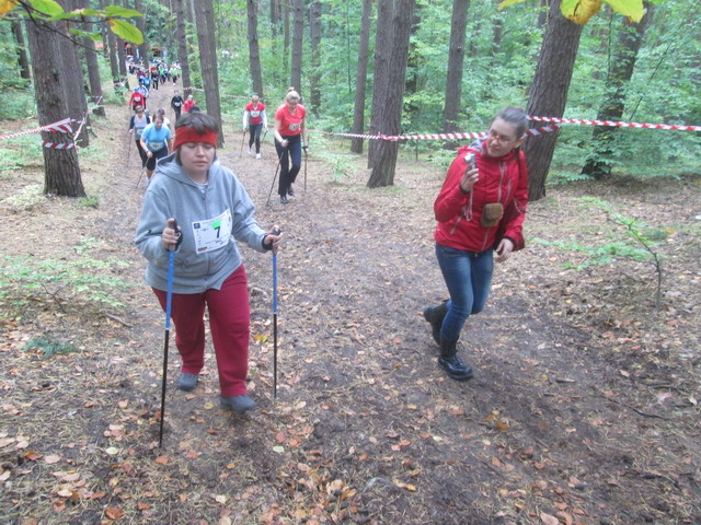 nordic walking awfis_52