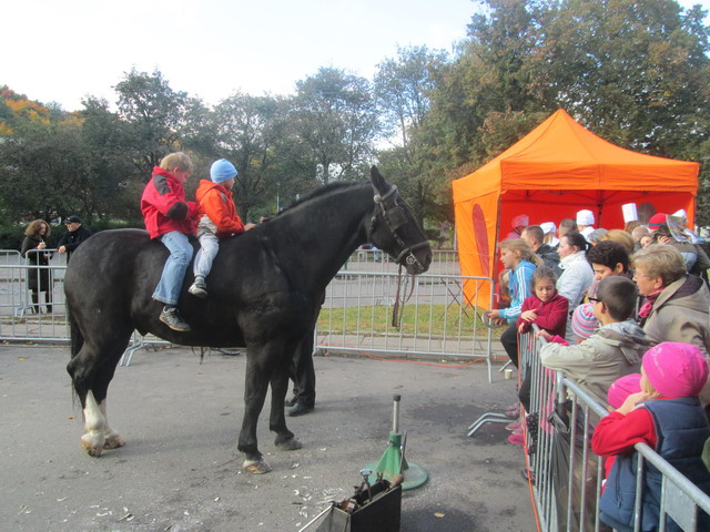 kuznia orunia_44