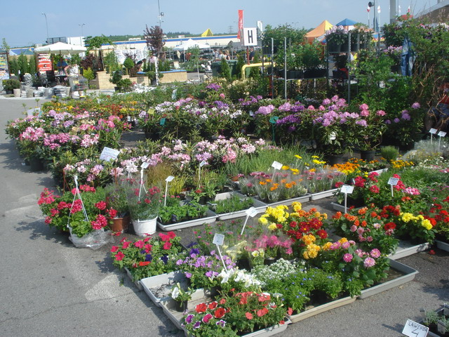 grajmy w zielone 2013_86