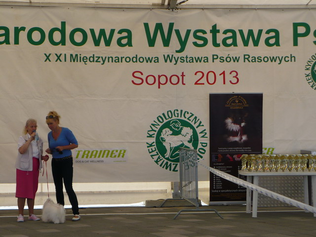 wystawa psow_21