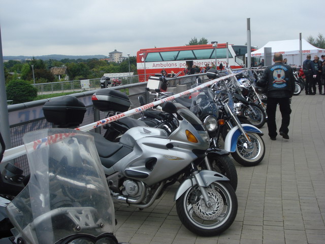 targi samochodowe_49
