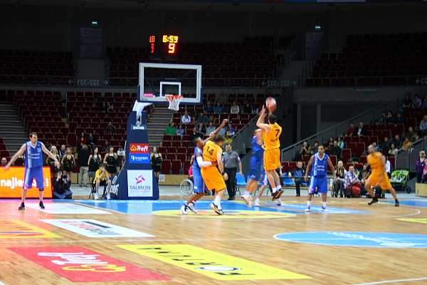Trefl - Kotwica