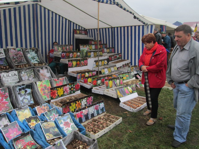 kozlaki 2013_37