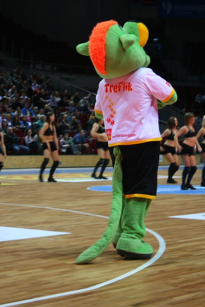 Trefl - Kotwica
