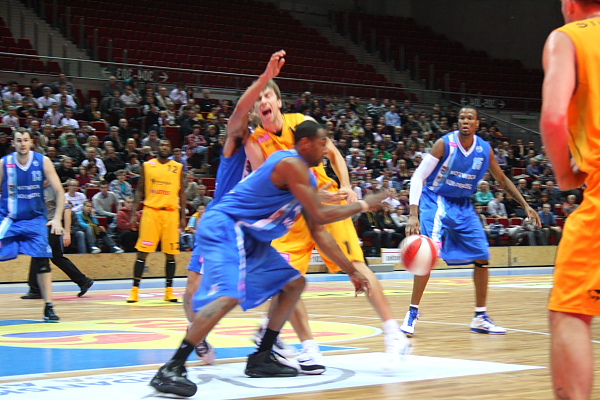Trefl - Kotwica