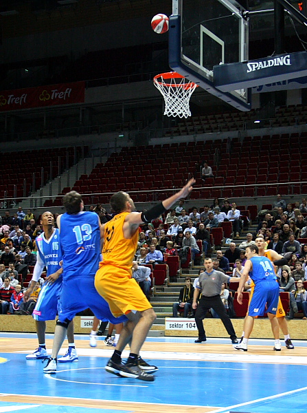 Trefl - Kotwica