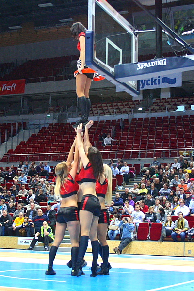 Trefl - Kotwica