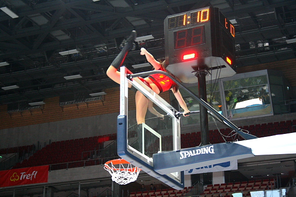 Trefl - Kotwica