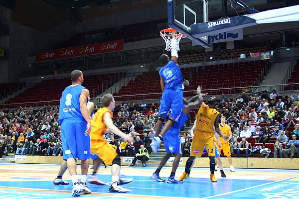 Trefl - Kotwica