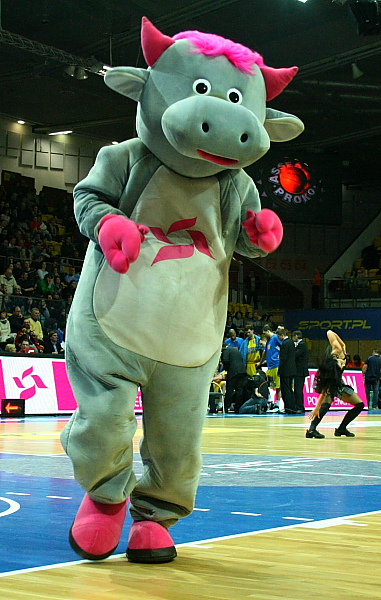 Asseco-Anwil