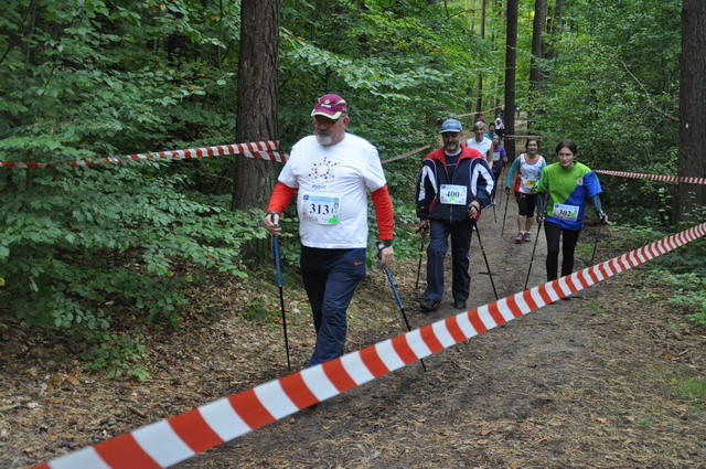 final nordic walking_64