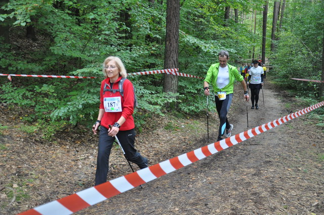 final nordic walking_82