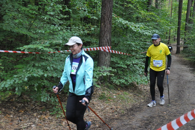 final nordic walking_100