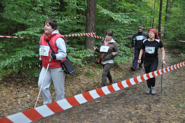 final nordic walking_120